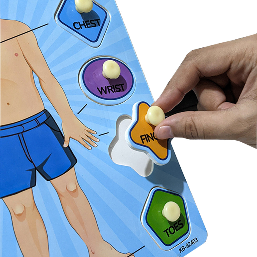 Parts Of Body 2in1 Sorting Knob Board With Tracing Activity