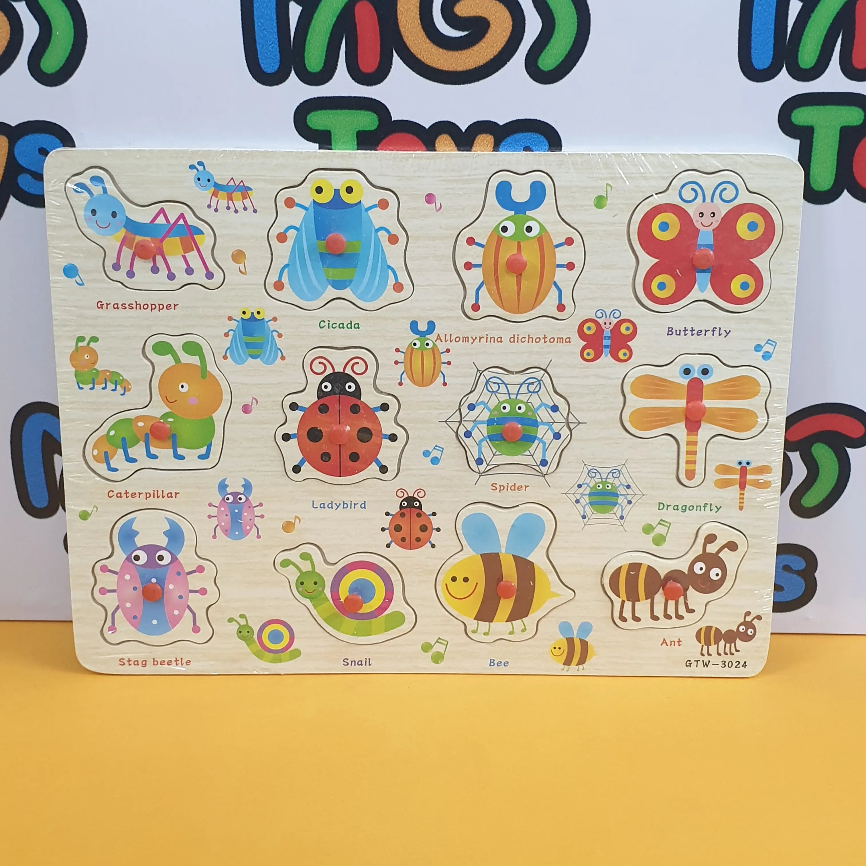 Wooden Insects Peg Puzzle Pin Board