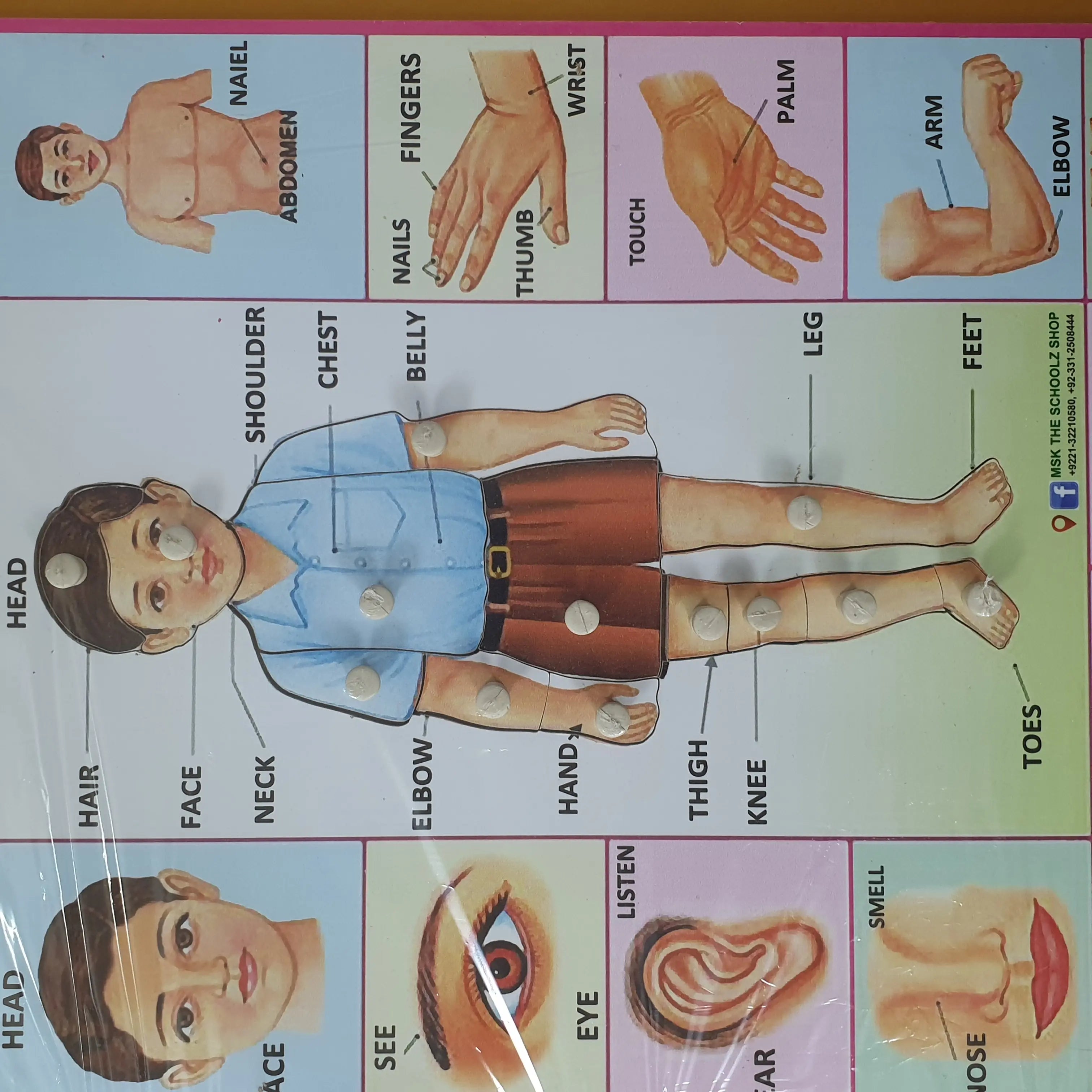 Wooden Body Parts Recognition Jumbo Puzzle Pin Board