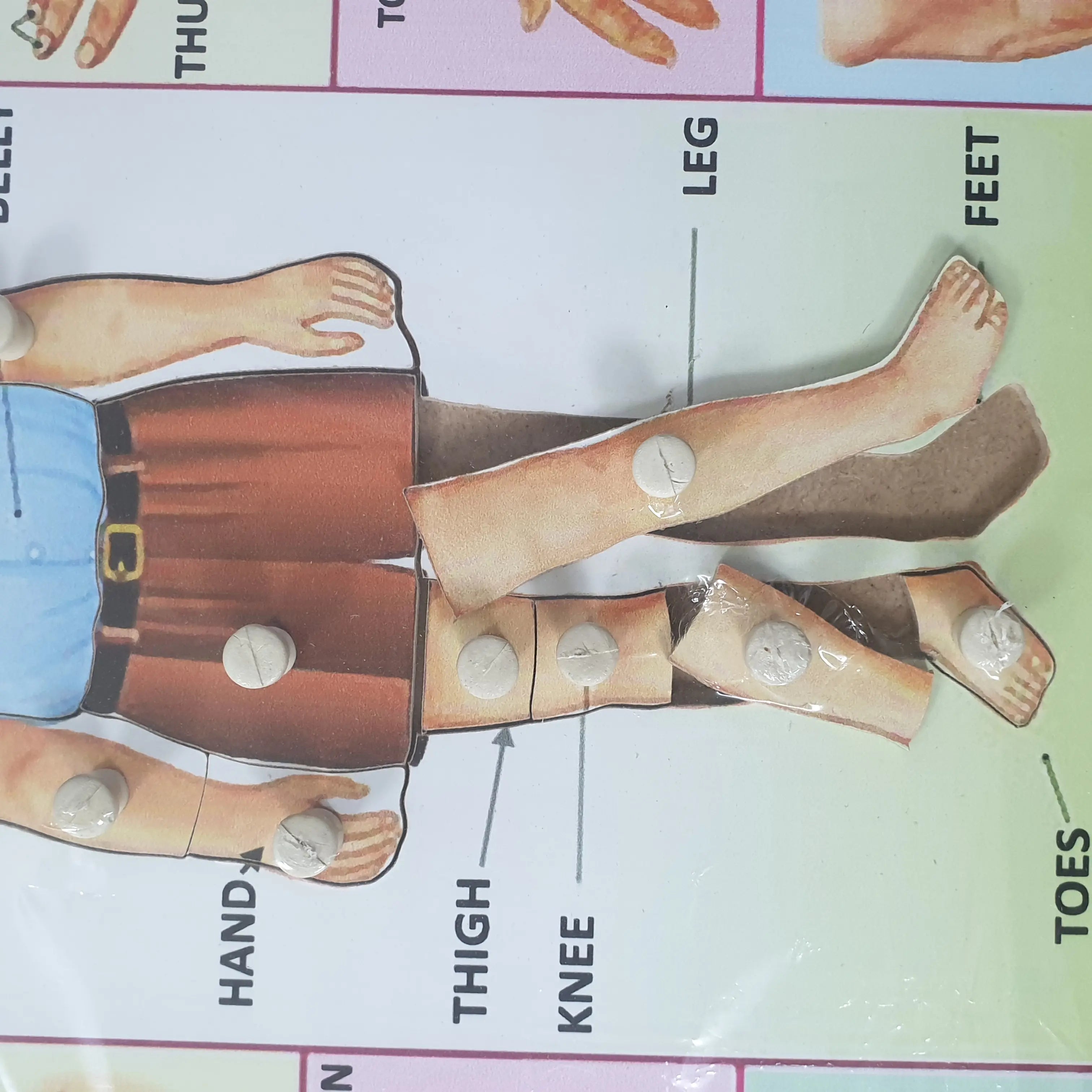Wooden Body Parts Recognition Jumbo Puzzle Pin Board