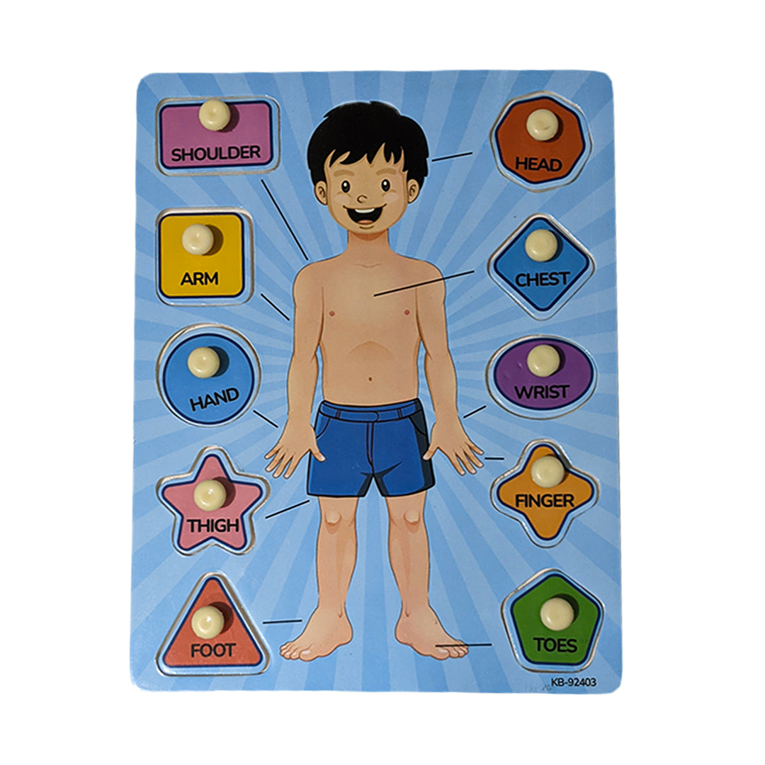 Parts Of Body 2i1n Sorting Knob Board With Tracing Activity