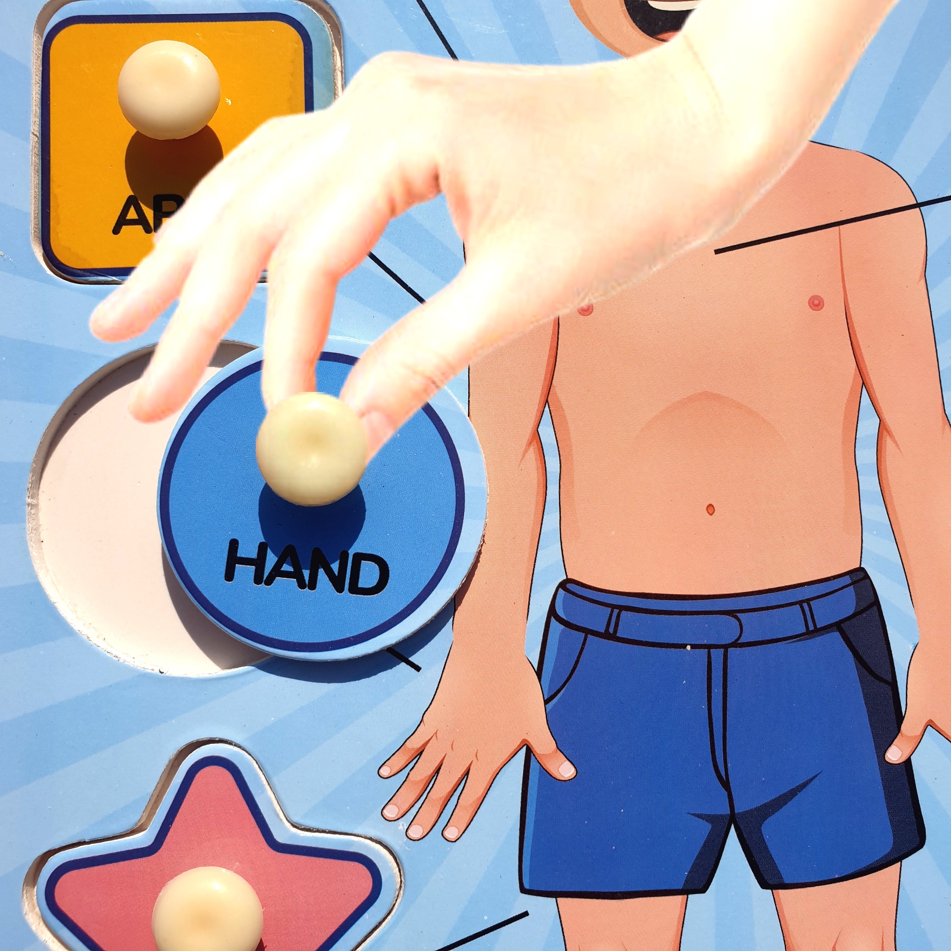 Parts Of Body 2in1 Sorting Knob Board With Tracing Activity