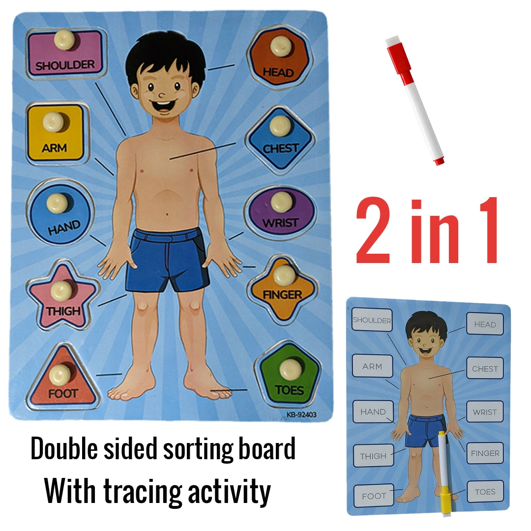 Parts Of Body 2i1n Sorting Knob Board With Tracing Activity