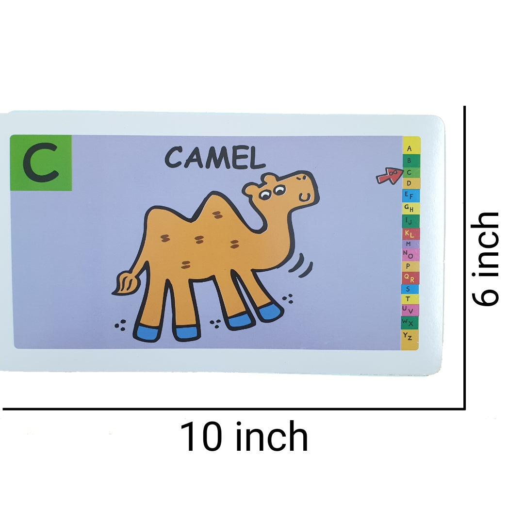 Capital Alphabets Jumbo Double Sided Interactive Flash Cards