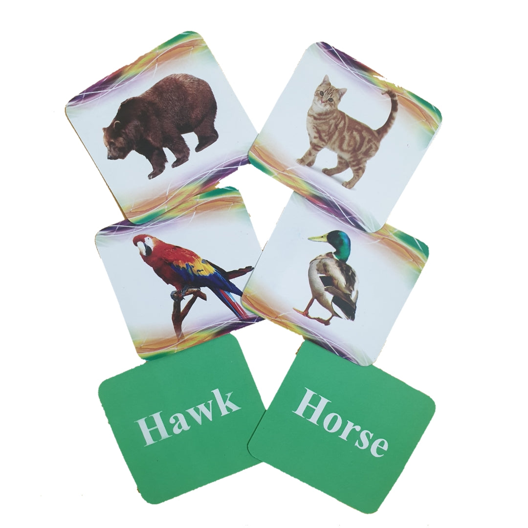 Animals & Birds 40 Educational Flash Cards Set