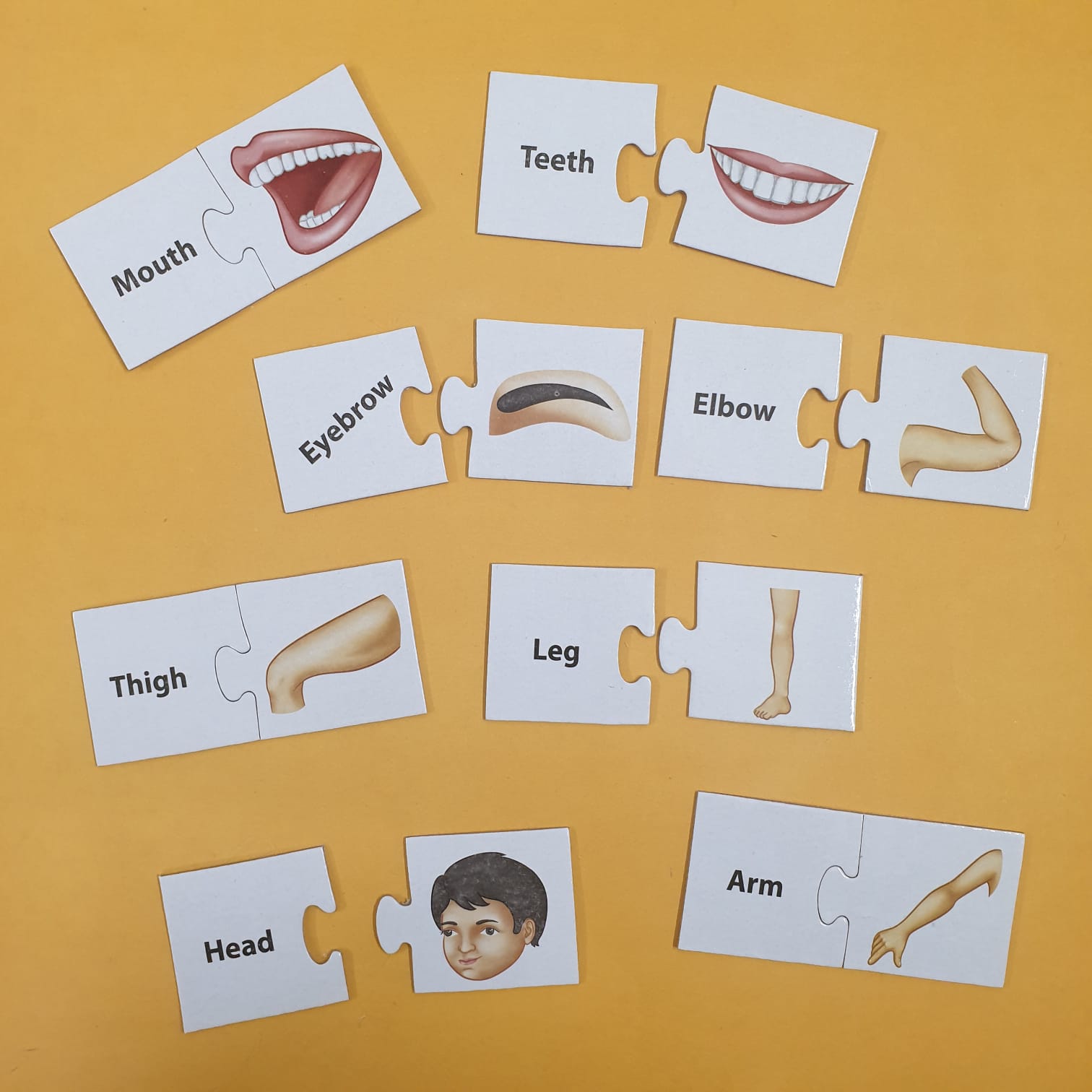 Match It Body Parts Learning Activity Educational Puzzle