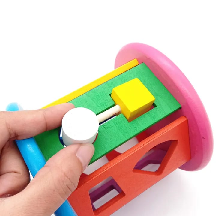 Wooden Wisdom Geometric Multicoloured Shapes Wheel â MGT Toys