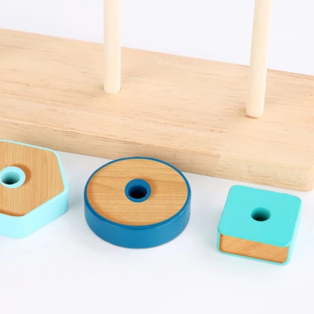 Wooden Shape Sorting Animal Geometric Matching Set