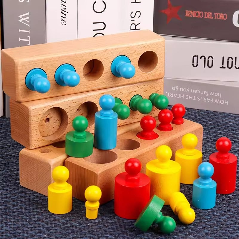 Wooden Montessori Knobbed Cylinder Blocks Educational Toy