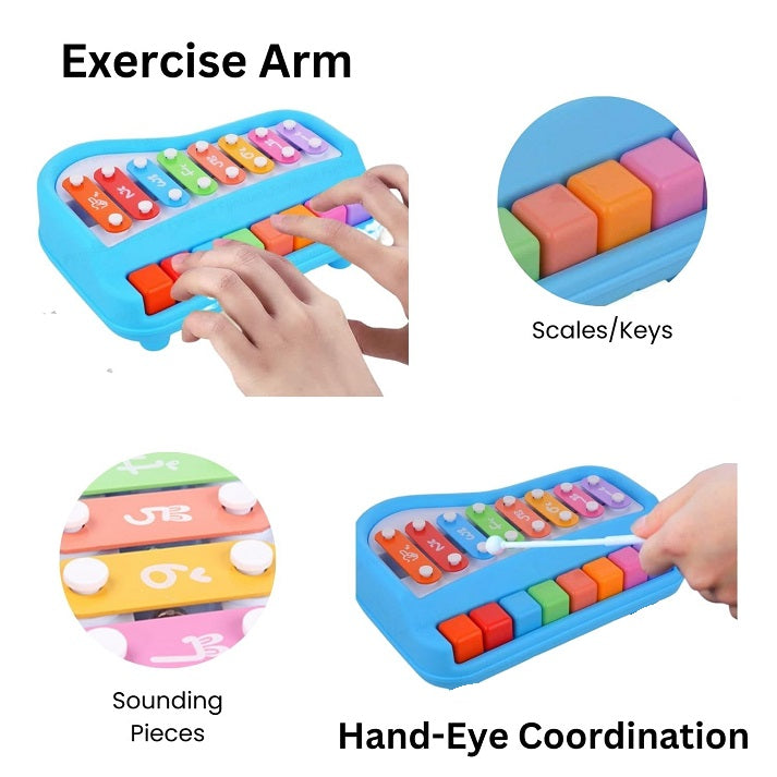 2-in-1 Hand Percussion Piano & 8 Note Xylophone With Stick