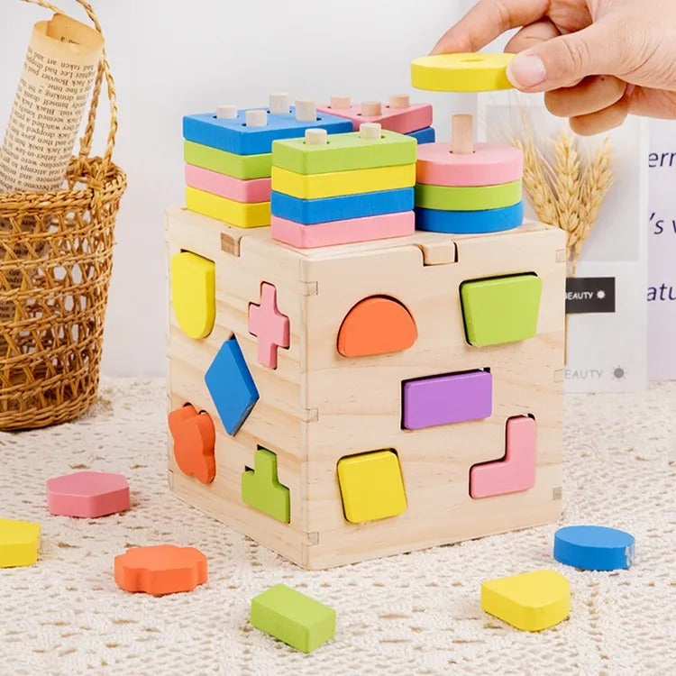 Wooden Geometric Shapes Sorting & Stacking Intelligence Activity Box