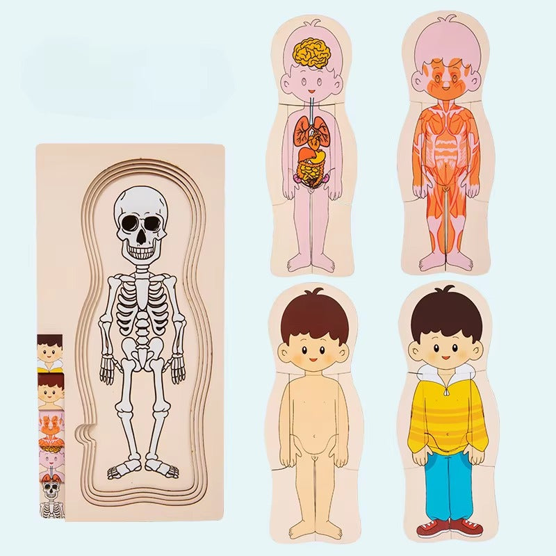 Wooden Montessori Human Body Structure Jigsaw Puzzle Board