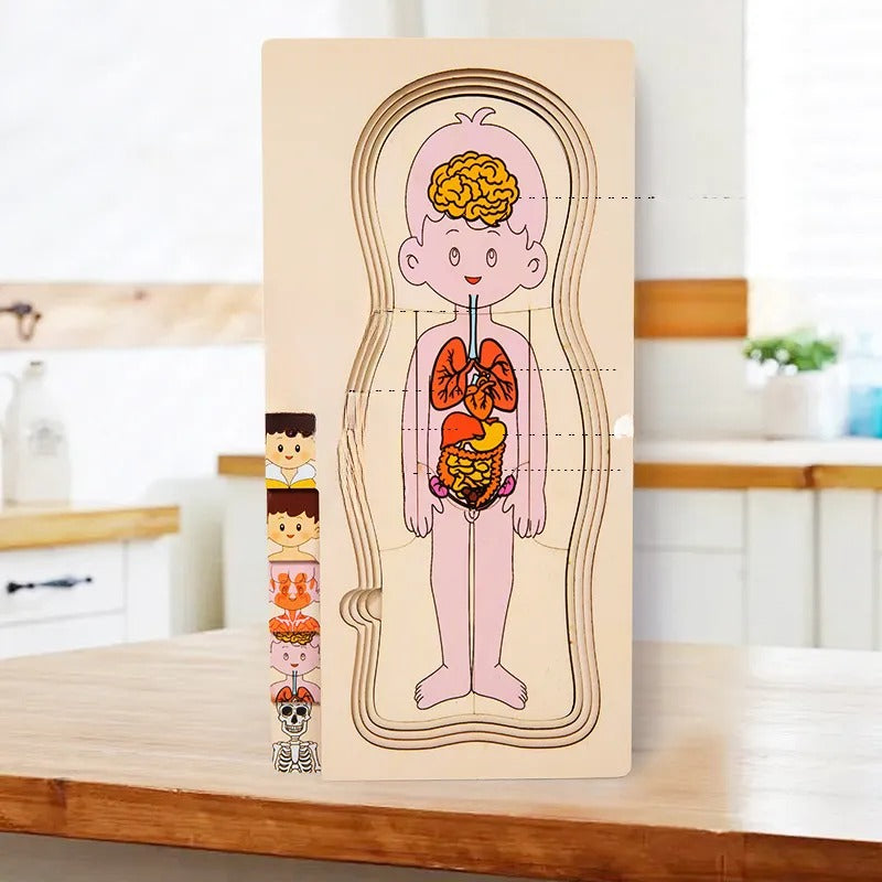 Wooden Montessori Human Body Structure Jigsaw Puzzle Board