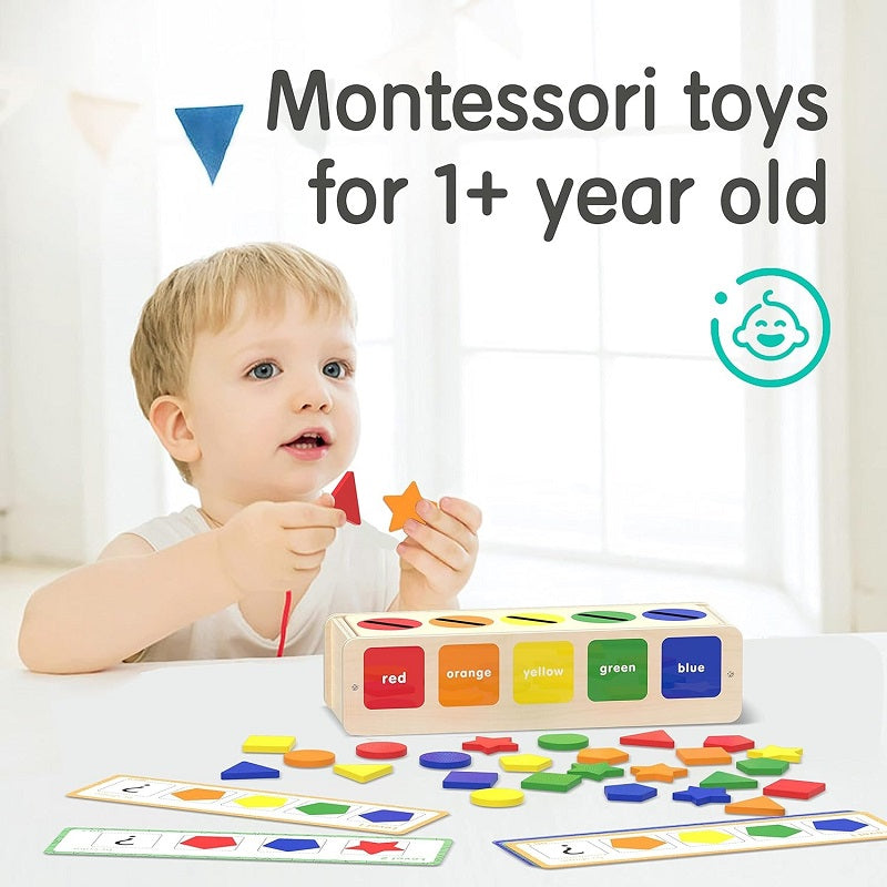 Wooden Montessori Five Shape & Colour Sorting Box With Flash Cards