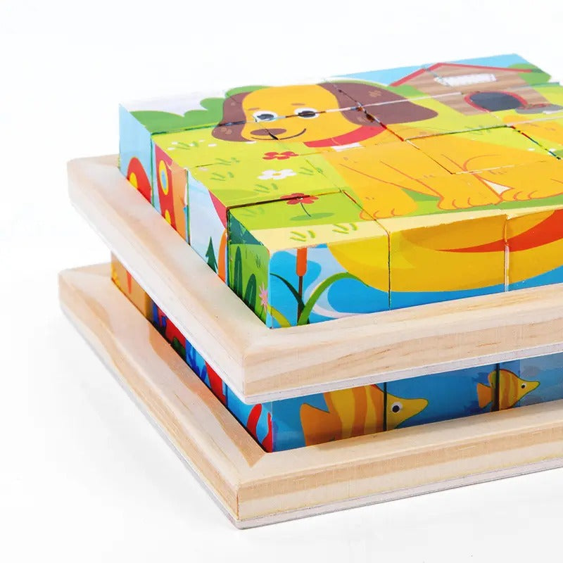 Wooden 6 in 1 Cartoons Cube Puzzles Montessori Sorting Game