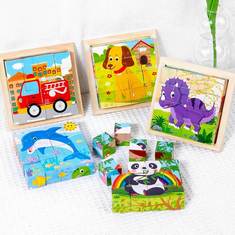 Wooden 6 in 1 Cartoons Cube Puzzles Montessori Sorting Game