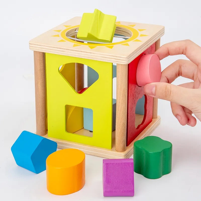 Wooden Intelligence 9 Hole Shape Cage Activity Box