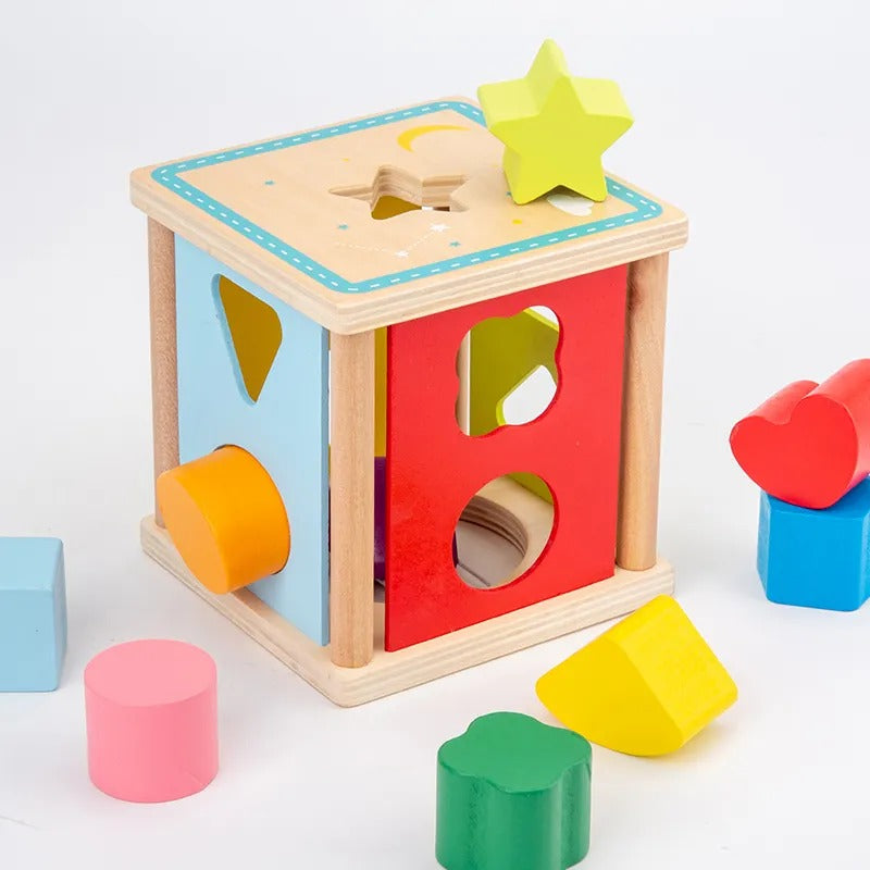 Wooden Intelligence 9 Hole Shape Cage Activity Box