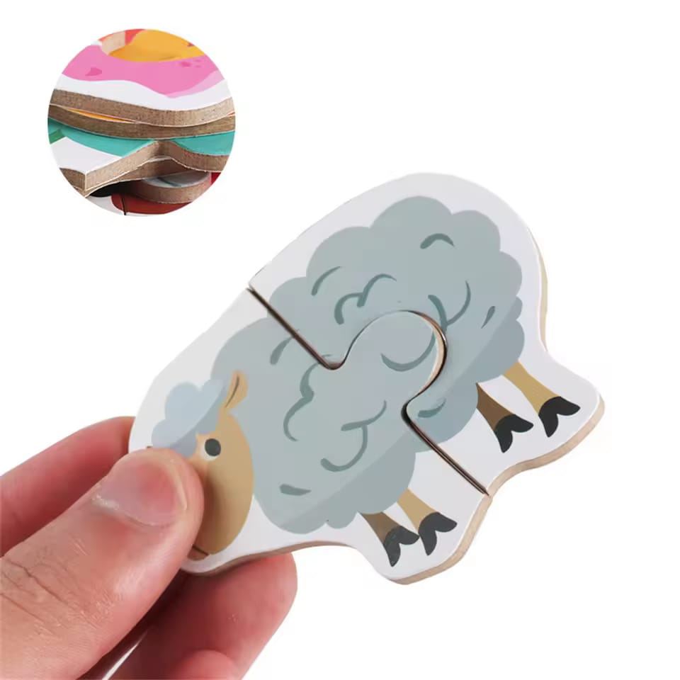 Wooden Colorful Jigsaw Puzzles Set