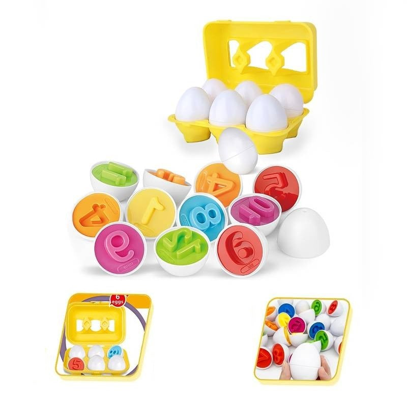 Matching Colors & Numbers Smart 6 Eggs Tray Set
