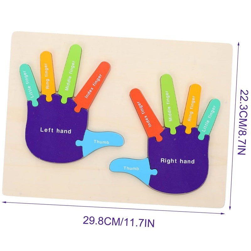 Wooden Montessori 3D Hand Cognitive Puzzle