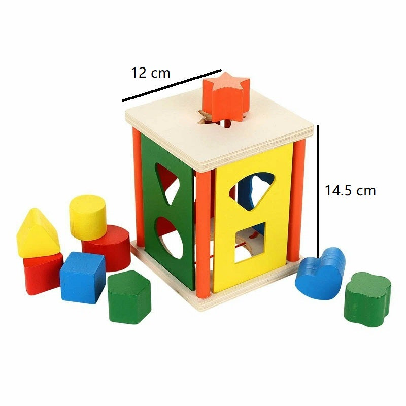 Wooden 9 Hole Multicolor Interactive Shape Sorter 