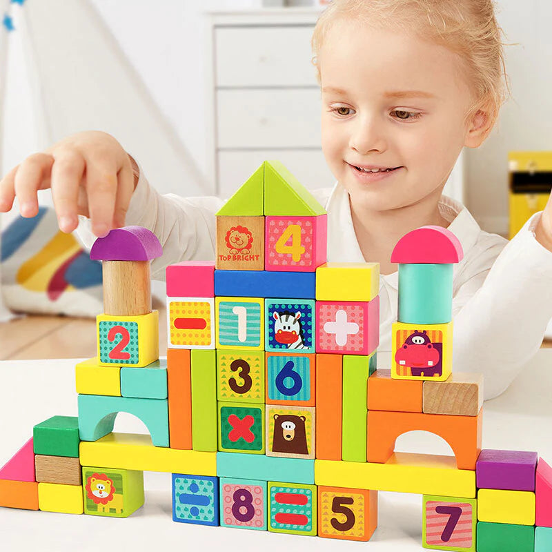 Wooden Multicolor Interactive Blocks